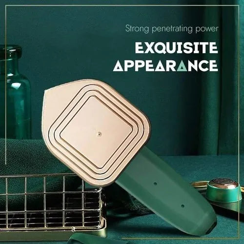 Professional Portable Garment Steamer Iron